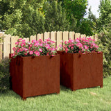 VidaXL jardinières avec pieds 2 pcs rouillé 49x47x50 cm acier corten
