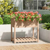 Vidaxx jardinière avec étagère 82,5x54x81 cm bois de pin massif