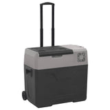 Vidaxx glacière à roulettes et poignée 40 l polypropylène noir et gris