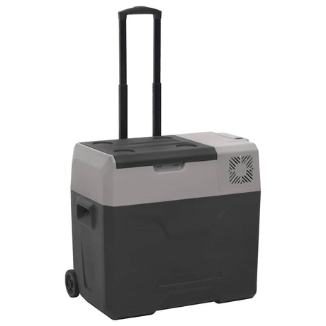 Vidaxx glacière à roulettes et poignée 40 l polypropylène noir et gris