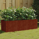 VidaXL jardinière surélevée 120x40x40 cm acier corten