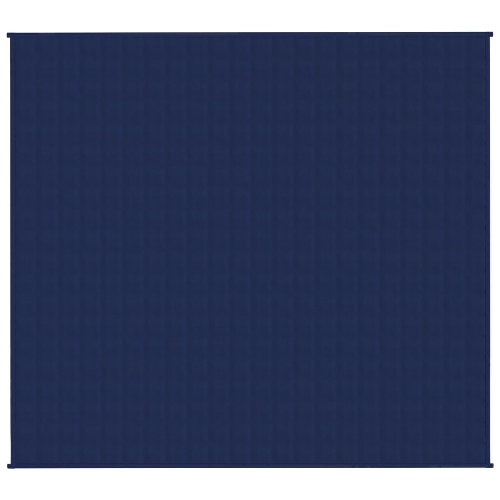 Vidaxl schwache Decke 200x220 cm 9 kg Stoff blau