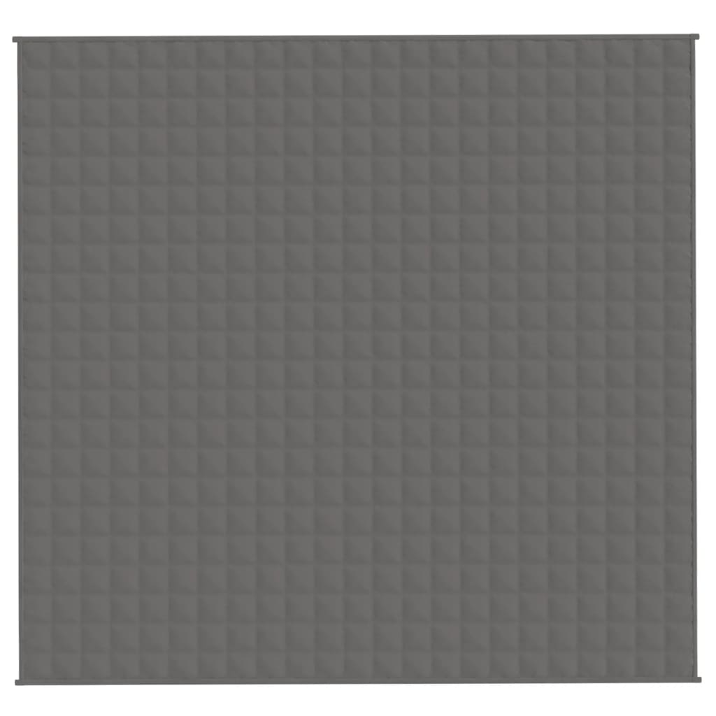 VIDAXL FAIBLAGE COUVERTURE 220X230 cm 11 kg tissu gris