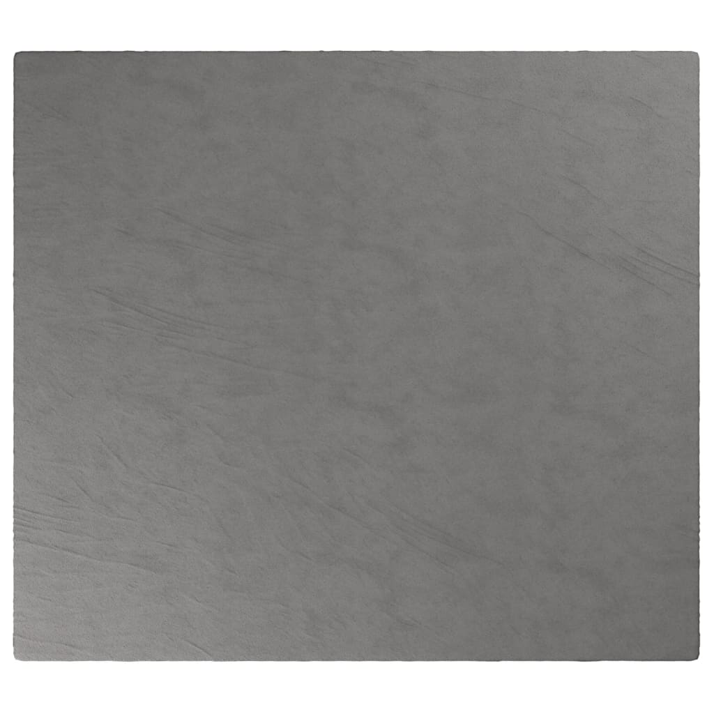 VIDAXL Coperta debole con copertina 200x220 cm 13 kg di tessuto grigio