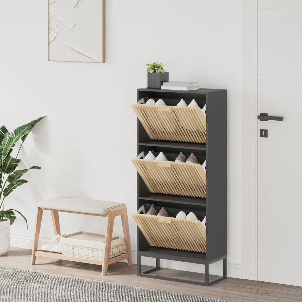 Vidaxx armoire à chaussures 52x25x120 cm bois fini noir