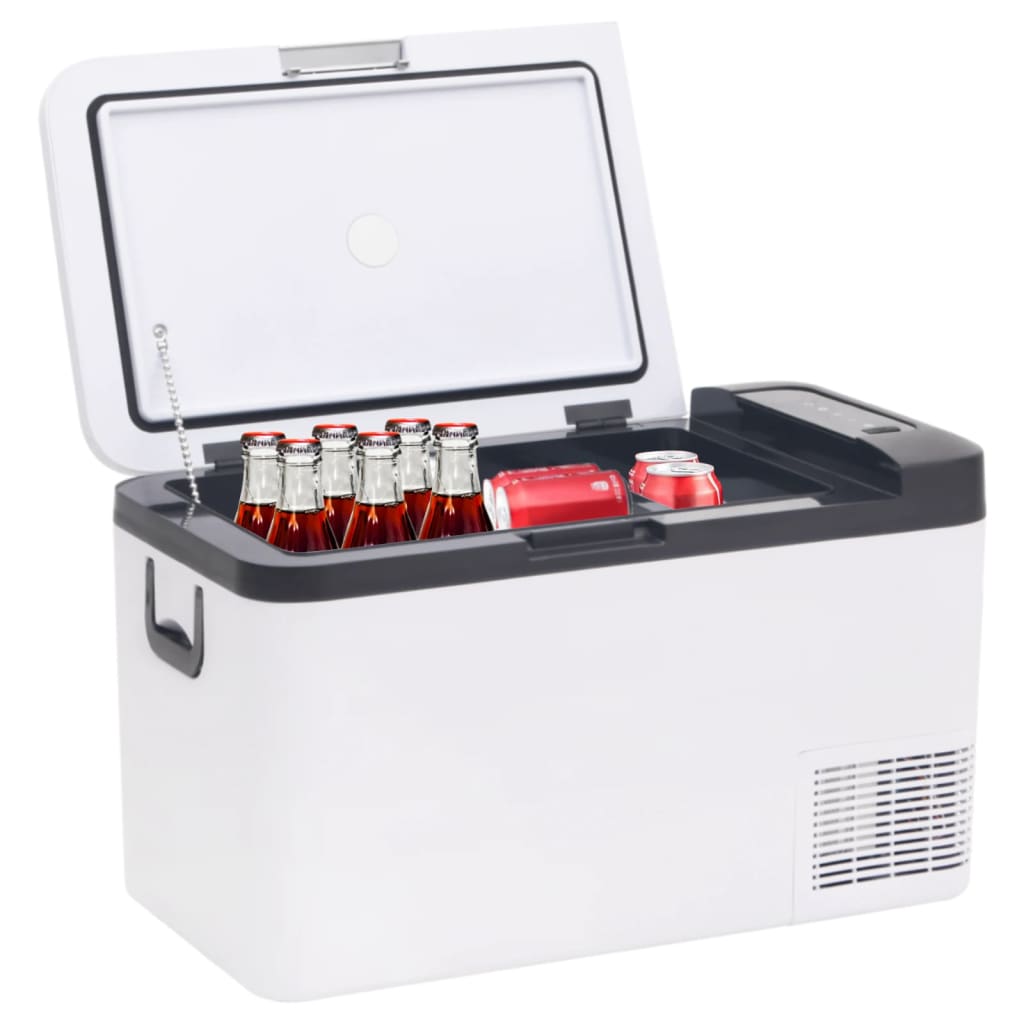 VidaXL Glacière avec poignée et adaptateur 25 L PP PE noir et blanc