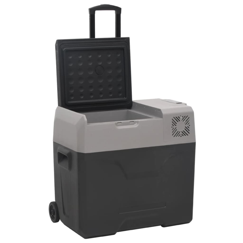 VidaXL Glacière avec roulettes et adaptateur 40 L polypropylène noir et gris