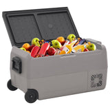 VidaXL Glacière avec roulettes et adaptateur 50 L PP et PE noir et gris