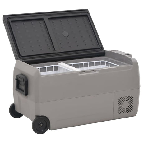 VidaXL Glacière avec roulettes et adaptateur 50 L PP et PE noir et gris