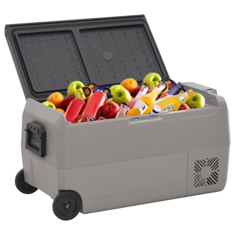 VidaXL Glacière avec roulettes et adaptateur 60 L PP et PE noir et gris