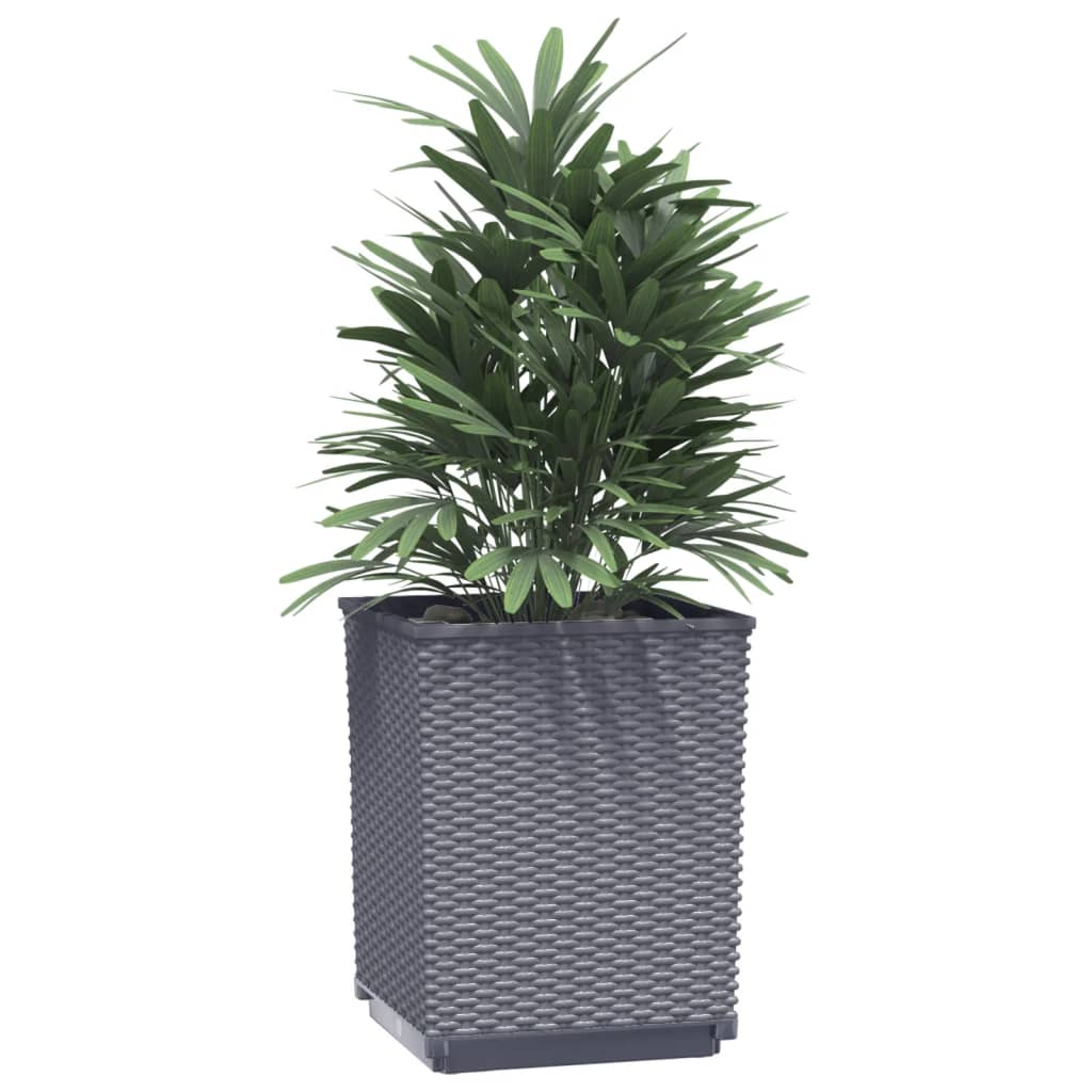 Plantadores Vidaxl 2 ST 30X30X37 CM Polypropene Dark Grey