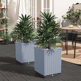 Vidaxx jardinières 2 pcs 30x30x37 cm polypropylène gris clair