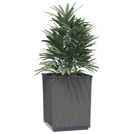 VidaXL Jardinières 2 pcs 30x30x37 cm polypropylène noir