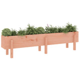 VidaXL jardinière surélevée 160x30x38 cm bois de Douglas massif