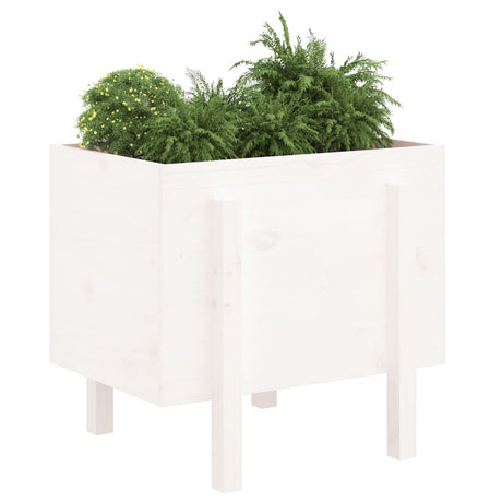 Vidaxx jardinière 62x50x57 cm bois de pin massif blanc