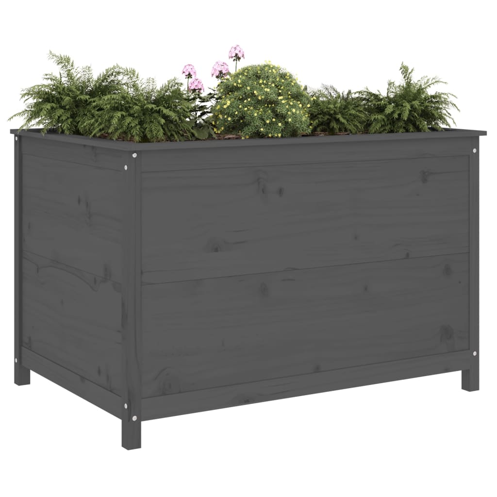 Vidaxl Planter je dvignil 119,5x82,5x78 cm Trdna borov siva siva