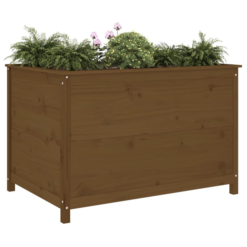 Vidaxl Planter zvedl 119,5x82,5x78 cm pevné borovice med hnědá