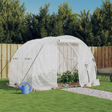 Serre de jardin Vidaxxl avec structure en acier 6 m² 3x2x2 m