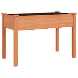 Vidaxx jardinière avec doublure 118x59x76 cm bois de pin massif marron