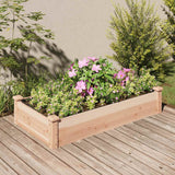 Vidaxx jardinière surélevée avec doublure 120x60x25 cm bois de pin massif