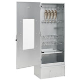 VidaXL Fumoir BBQ avec copeaux de bois 44,5x29x110 cm acier