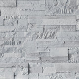 VidaXL papier peint intissé 3D aspect pierre 10x0,53 m gris clair