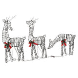 VidaXL décorations de Noël famille de rennes 2 pcs 180 LED rotin blanc chaud