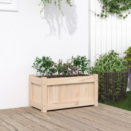 Vidaxx jardinière 60x31x31 cm bois de pin massif