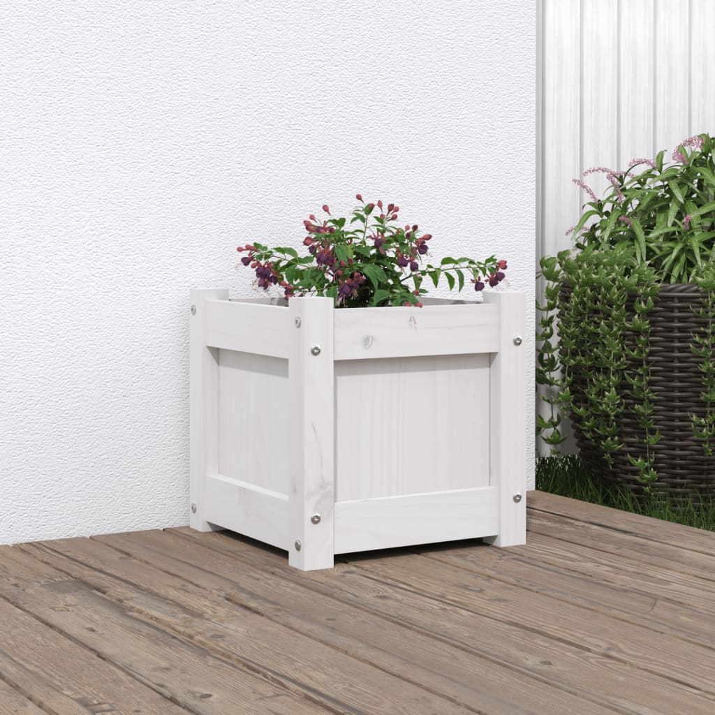 Vidaxl Planning Box 31x31x31 cm Pine solide blanc