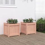 VidaXL jardinières 2 pcs bois de Douglas massif