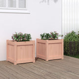 Vidaxl Planters 2 PCS Solid Douglashout