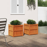 VidaXL jardinières 2 pcs cm bois de pin massif, marron lavé