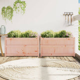 VidaXL jardinières 2 pcs bois de Douglas massif