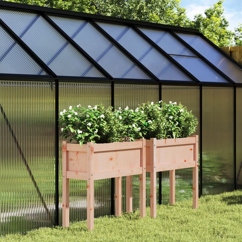 Vidaxxl jardinières avec pieds 2 pcs bois de Douglas massif