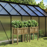 Jardinières Vidaxl avec pieds en bois imprégné 2 cm