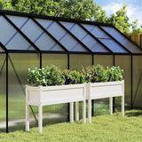 Vidaxxl jardinières avec pieds 2 pcs bois de pin massif blanc