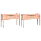 Vidaxxl jardinières avec pieds 2 pcs bois de Douglas massif