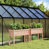 Vidaxxl jardinières avec pieds 2 pcs bois de Douglas massif