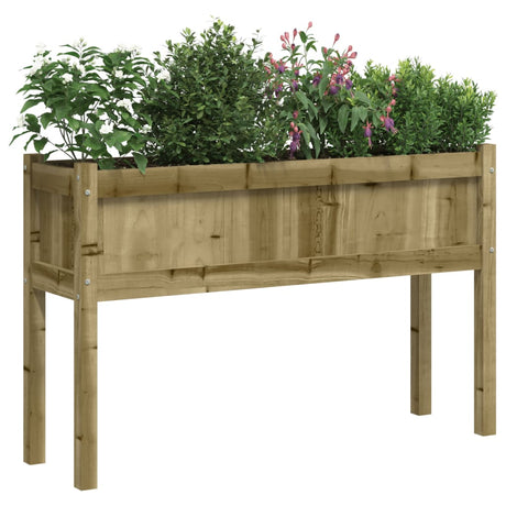 Jardinières Vidaxl avec pieds en bois imprégné 2 cm