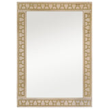 Miroir de salle de bain Vidaxx 50x70x2,5 cm bois de manguier massif et verre