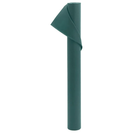 Vidaxx non-tissé pour plantes 70 g m² 10x1,6 m