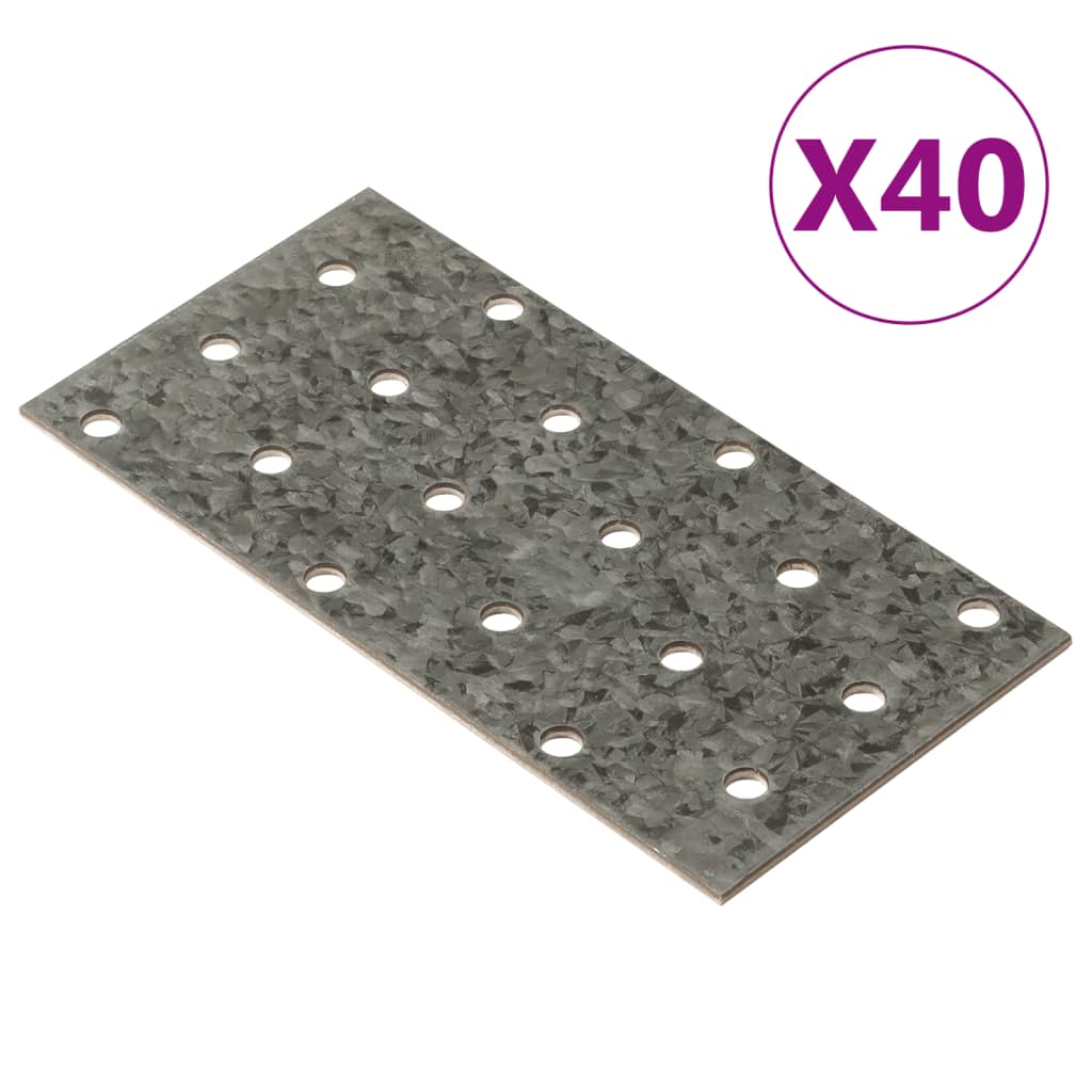 Vidaxl Platen perforéiert 40 PC 2 mm 120x60 mm galvaniséiert Stol