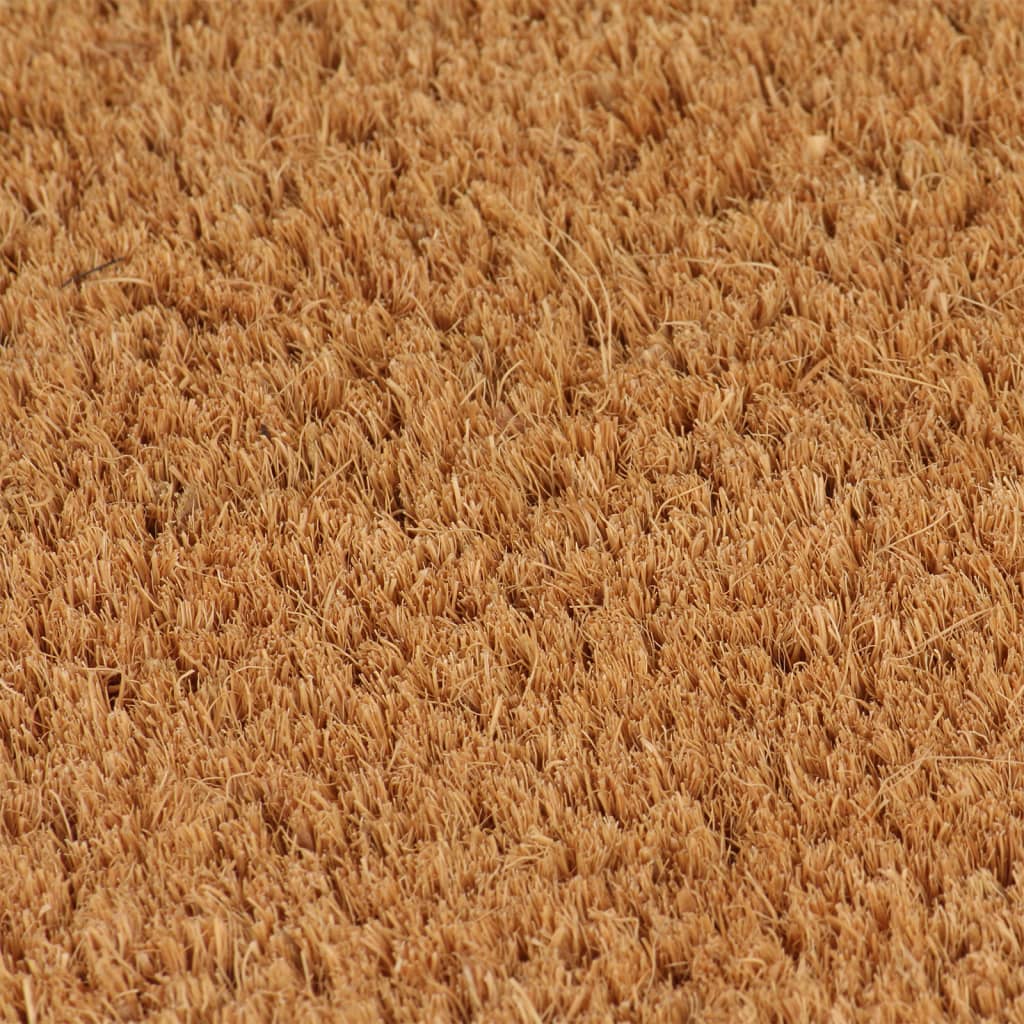 Vidaxx paillassons 2 pcs 40x60 cm fibre de coco tuftée naturelle