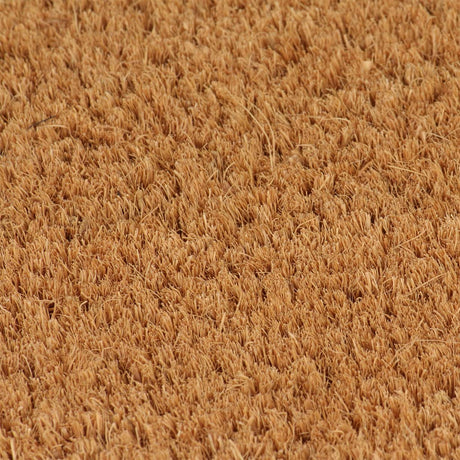Vidaxx paillassons 2 pcs 40x60 cm fibre de coco tuftée naturelle