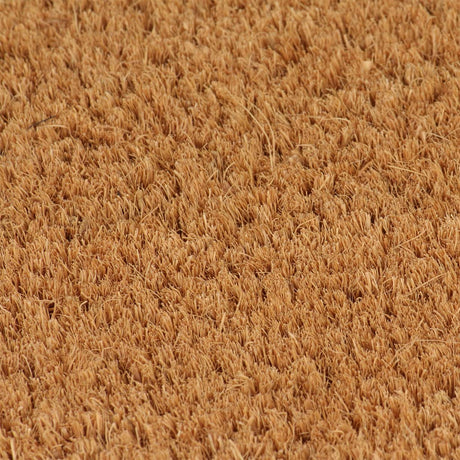 Vidaxx paillassons 2 pcs 40x60 cm fibre de coco tuftée naturelle