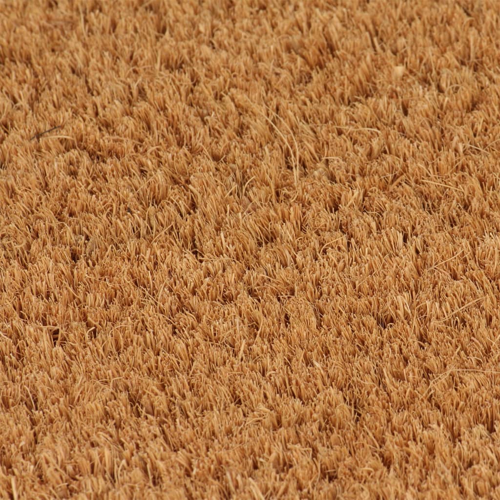 Vidaxl dörrmattor 5 st 40x60 cm tuftad kokosnötfiber naturlig