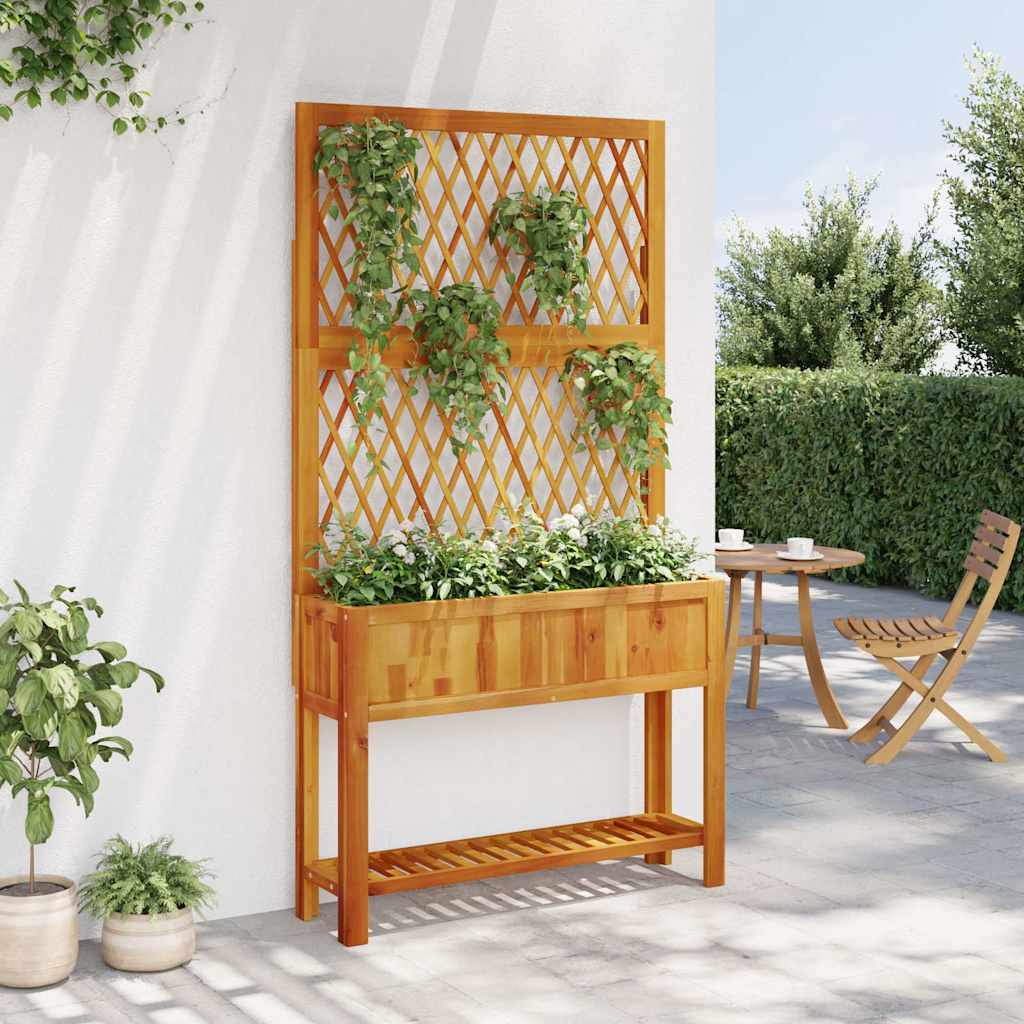Vidaxx jardinière avec treillis et étagère 100x32x185 cm bois d'acacia
