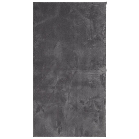 Vidaxx tapis huarte poils courts doux lavable 80x150 cm anthracite
