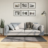 Vidaxx tapis huarte poils courts doux lavable 80x150 cm anthracite