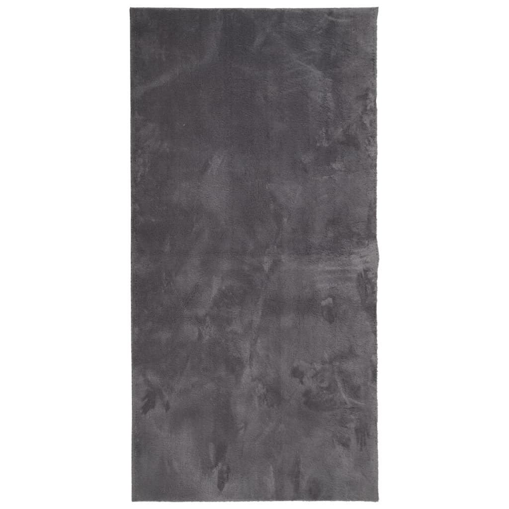 VidaXL tapis huarte poils courts doux lavable 100x200 cm anthracite